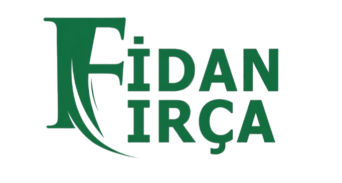 Kılsan Fırça