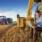 Kurbanlık Hazırlığı