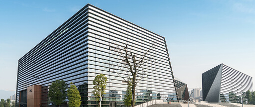 Hollanda Ofis Projesinde Stor ve Plise Uygulaması